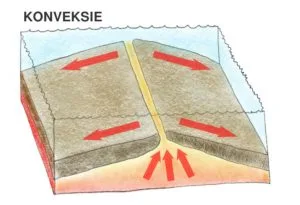 konveksie