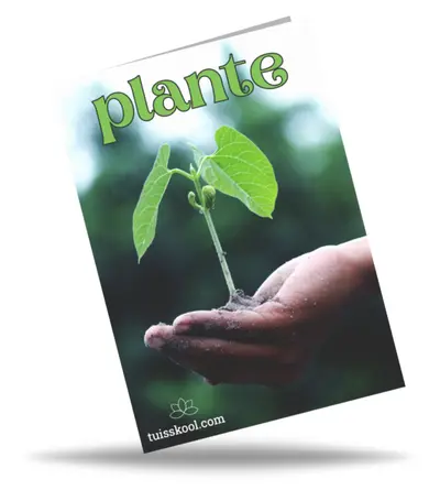 Plante Skootboek
